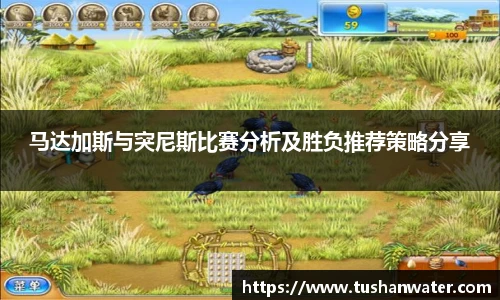 马达加斯与突尼斯比赛分析及胜负推荐策略分享