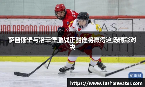萨普斯堡与洛辛堡激战正酣谁将赢得这场精彩对决